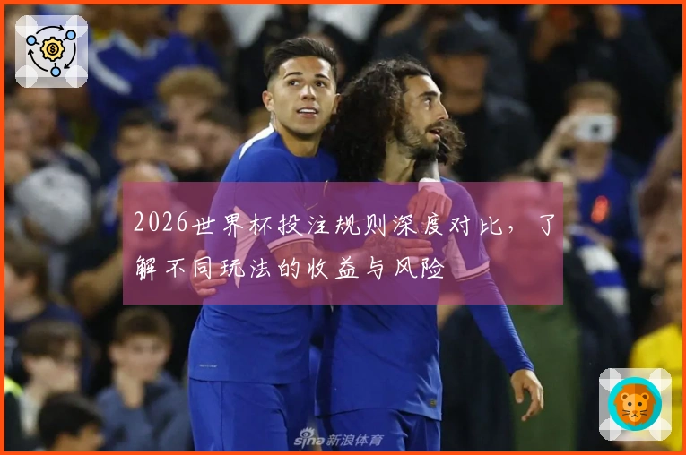 2026世界杯投注规则深度对比，了解不同玩法的收益与风险