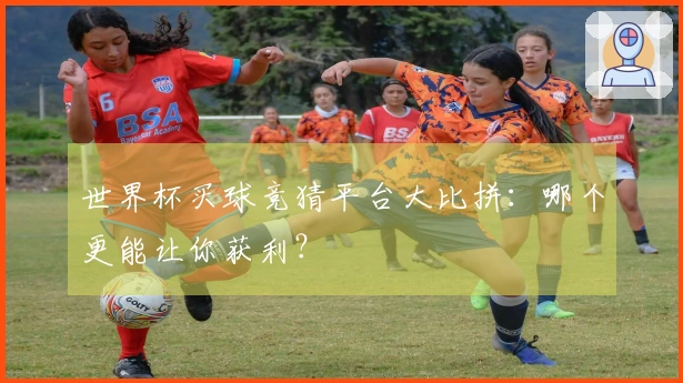 世界杯买球竞猜平台大比拼：哪个更能让你获利？