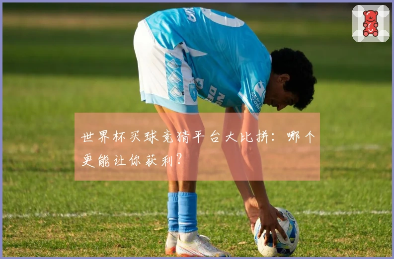 世界杯买球竞猜平台大比拼：哪个更能让你获利？