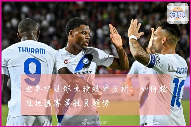 世界杯让球竞猜赔率分析：如何精准把握赛事胜负趋势