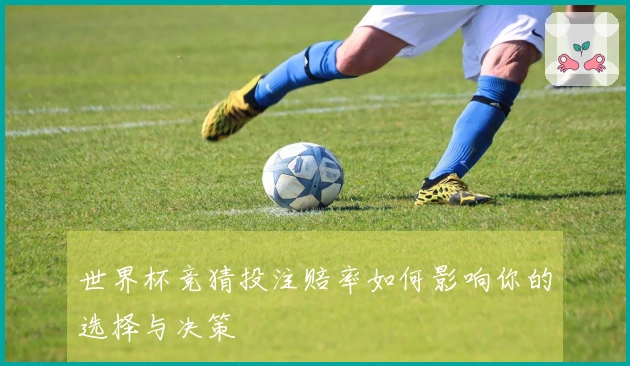 世界杯竞猜投注赔率如何影响你的选择与决策