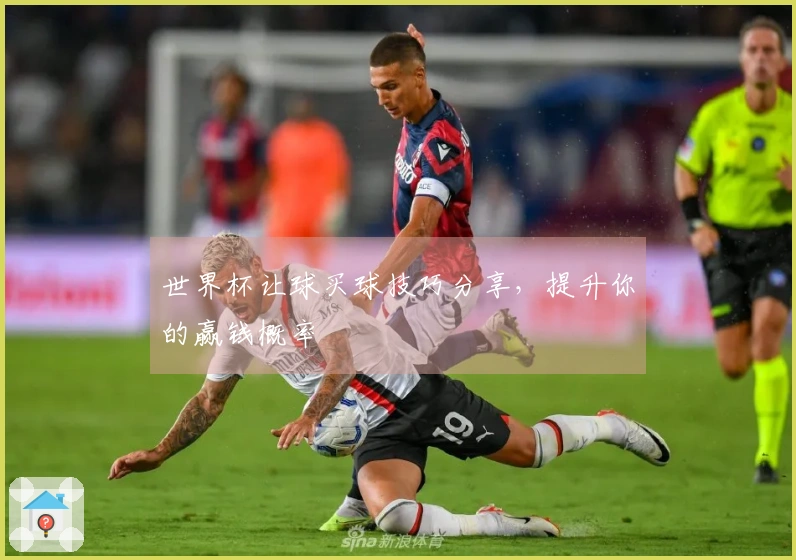 世界杯让球买球技巧分享，提升你的赢钱概率