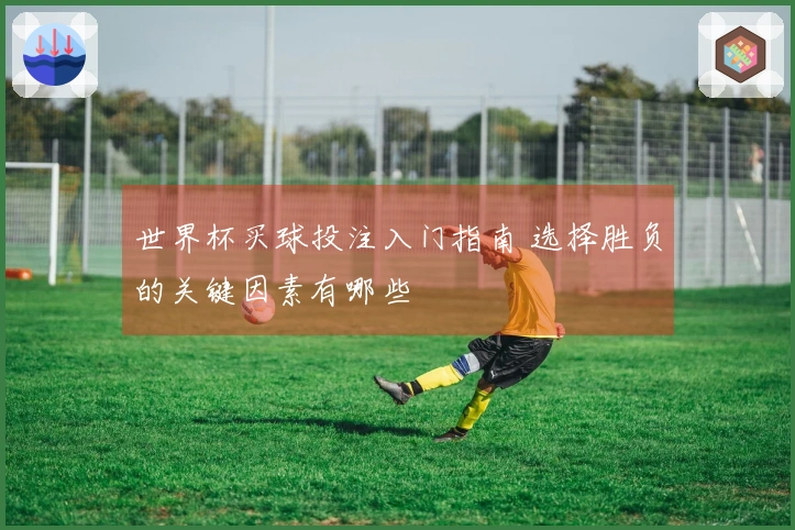 世界杯买球投注入门指南 选择胜负的关键因素有哪些