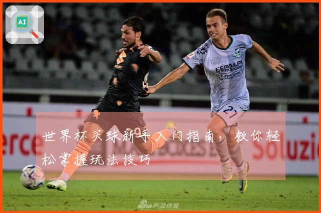 世界杯买球新手入门指南，教你轻松掌握玩法技巧