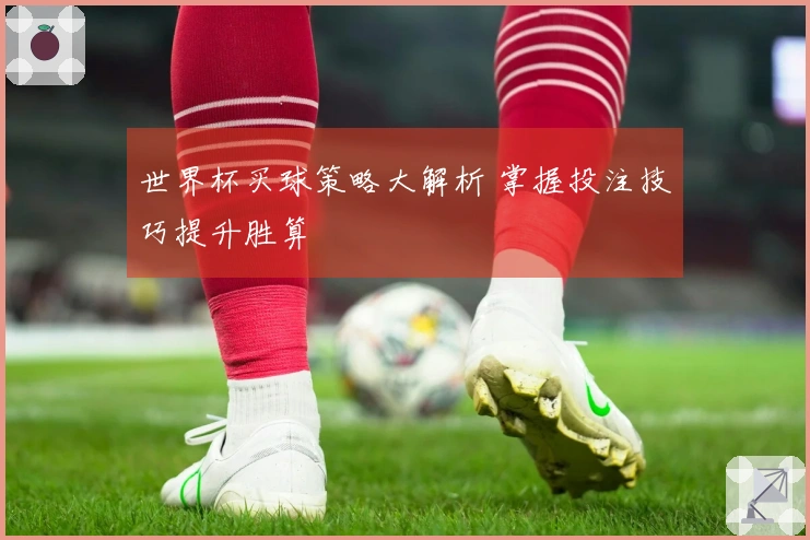 世界杯买球策略大解析 掌握投注技巧提升胜算