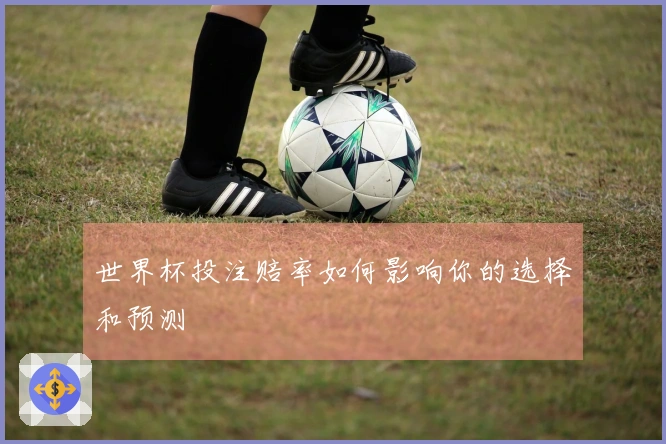 世界杯投注赔率如何影响你的选择和预测